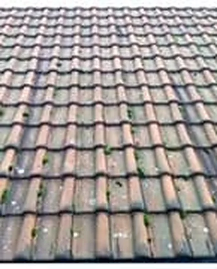 Démoussage de toiture — avant, par G2O Habitat
