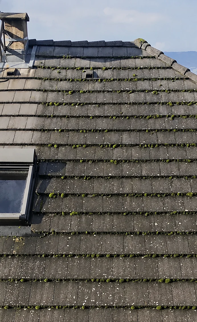 Toiture tuiles couverte de mousse avant démoussage, par G2O Habitat